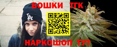 индика Славгород